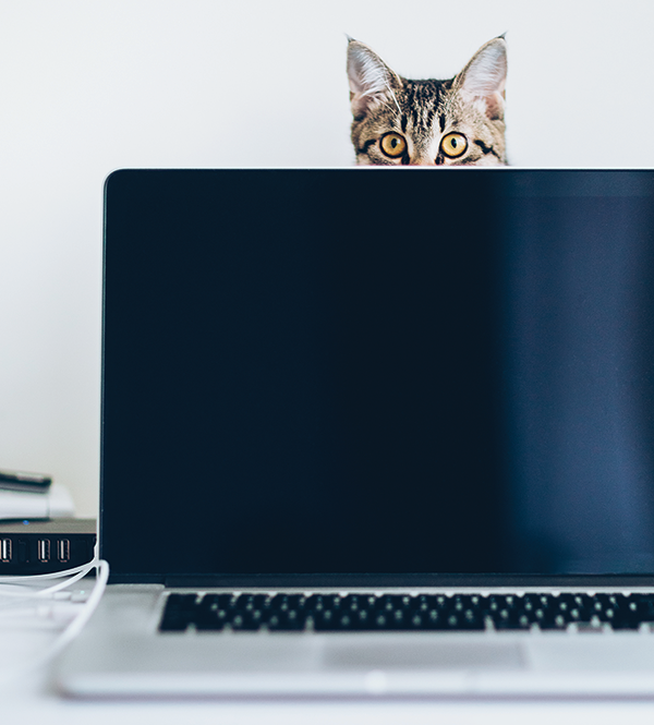 Boost Work Focus . Strategies to keep yourself from being distracted while working at home.