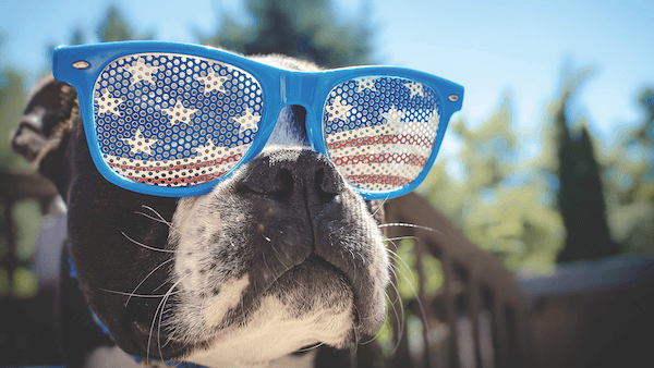 Election Year Marketing